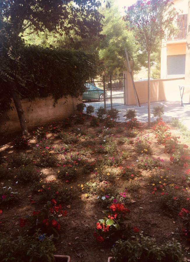 La Casa Di Nonno Giulio Bed & Breakfast Porto SantʼElpidio Dış mekan fotoğraf